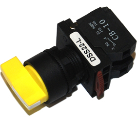 Switches and Lamps - Switches - DSS22-L111Y