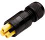 Weatherproof/Waterproof Connectors - TeePlug & Sockets - THB.382.B2A - TeePlug Powersocket 2 pole Screw terminal 7mm to 9.5mm cable diameter, 4 mm max conductor size IP40 17A 400V 1 cable entry