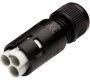 Weatherproof/Waterproof Connectors - TeePlug & Sockets - THF.382.A2A - TeePlug 2 pole Crimp terminal 10 mm cable diameter max, 1.5 mm max conductor size IP40 17.5A 400V 1 cable entry