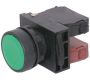 Switches and Lamps - Switches - DPB22-F11G - Flush head push button switch 1a 1b green cap