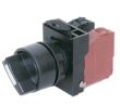 Switches and Lamps - Switches - DSS22-S211B - Normal shaft 2 position selector 1a 1b black cap